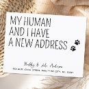 Suche nach pets postkarten Katze