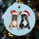 Suche nach französische bulldoggen ornamente Aquarell