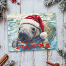 Recherche de noël floride cartes postales De la floride