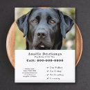Recherche de canin prospectus Marcheur de chiens