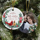 Suche nach weihnachtsvögel ornamente Aquarell