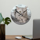 Recherche de propriétaire de chat Chaton