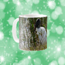 Recherche de cigogne tasses Nature