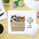 Suche nach cat lady mousepads Katzenmutter