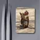 Suche nach affen magnete Dschungel