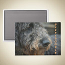 Recherche de canin photographie Amoureux des chiens