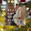 Recherche de cat ornements Moderne