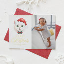 Recherche de shorthair vœux cartes Chat