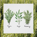 Recherche de herb posters Cuisine