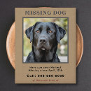 Suche nach handzettel poster Vermisstes haustier