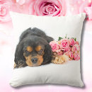 Suche nach cavalier king charles spaniel kissen Kaninchen