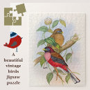 Suche nach vogelbild Tierwelt