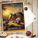 Suche nach armadillo poster Vintag