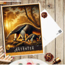 Suche nach anteater Anteateur