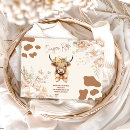 Recherche de veau de vache invitations Pays rustique