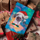 Recherche de grande race cartes postales Animaux