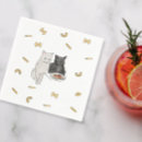 Recherche de chats serviettes Animaux domestiques