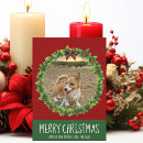 Recherche de joyeux du chien noël noël cartes Photo de chien