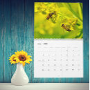 Suche nach bienen kalender Insekt