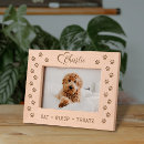 Recherche de chiens et chats maison deco Maman de chien