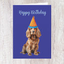 Suche nach hundeliebhaber karten Spaniel