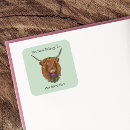 Recherche de écossais assiettes Vache à haute altitude