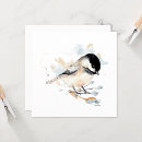 Suche nach kichererbse karten Singvogel