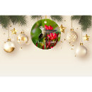 Recherche de joli oiseau ornements Joyeux noël