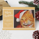 Recherche de minou chapeaux Noël