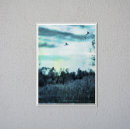 Suche nach schilf poster Illustration