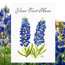 Suche nach texas bluebonnet postkarten Aquarell