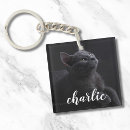 Suche nach chat accessoires Hund