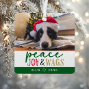 Recherche de chien mignon ornements Photo de chien