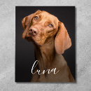 Suche nach haustierandenken Erstelle selbst