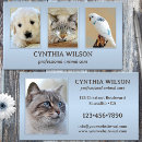 Recherche de clinique animale cartes visite Customer