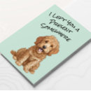Recherche de goldendoodle Drôle