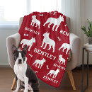 Recherche de noël de terrier de boston Dogs