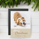 Suche nach britische bulldogge karten Weihnachten