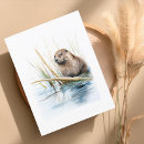 Recherche de castor cartes postales Faune