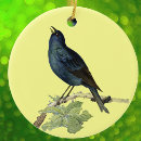 Suche nach schwarzer vogel ornamente Krähe