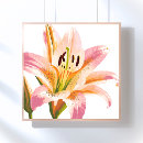 Suche nach blumenmalerei poster Blumig