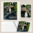 Recherche de à ailes photographie Observation des oiseaux