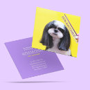 Recherche de adorable cartes visite Toilettage de chien