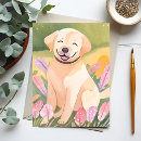 Suche nach labrador welpe postkarten Süß