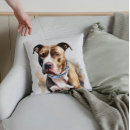 Recherche de bull terrier Amoureux des chiens