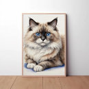 Suche nach niedliche katzenbilder poster Lumpenkatze