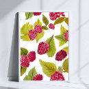 Suche nach rote himbeere poster Himbeeren