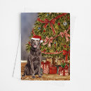 Suche nach brauner labrador karten Weihnachtskarte