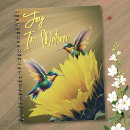 Recherche de colibri photographie Tournesol