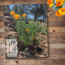 Recherche de bouquet orange photographie Pour elle